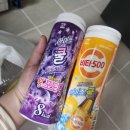 미주세탁 | 임신 어지러움 임산부 미주신경성 실신 식은땀 코피 치골통 등 임신후기증상