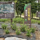 (유) 보성녹차떡갈비 원조