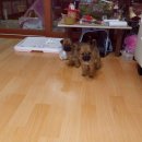 파주스타디움 이미지