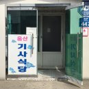 청춘연어청연