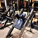 라이언짐 이미지