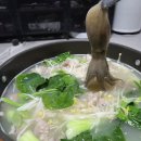 올림피아 | 2026. 4. 12(일) 대천항 올림피아호 후기