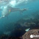 종달로가 이미지