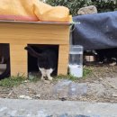 호도마을회관 이미지