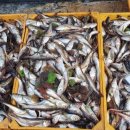 삼척번개시장 이미지