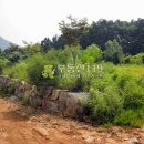 금대리농장 이미지