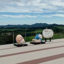 해운로 | [ 서산 한우목장 웰빙 산책로 / 데크 산책로 / 운영시간 / 소요시간 / 전망대 / 주차장 / 근처카페 ]