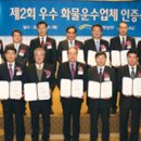 용마화물