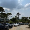 용인 대형 식물원 카페 추천 어반리프 내돈내산 후기
