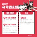 포레스트독 이미지