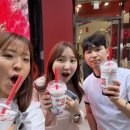 포켓디노 | 6월인데 이렇게 선선하다니.. 카메라 바리바리 싸들고 간 제주여행 그리고 행복한 일상!