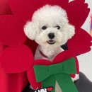 놀러오개 송파점 이미지