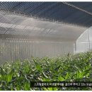 모단농장 이미지