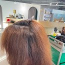 당신의 머리를 훔치다 네이버블로그