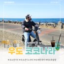 세븐일레븐 제주삼무파크점 | [제주/우도] 우도 가볼 만한 곳 우도전기차 스쿠터 전기바이크 대여 가격 코코나라 종일렌트 후기