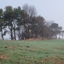 동우행정사합동사무소 이미지