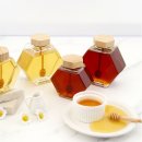 자연담아 이미지