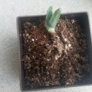 화원농장1 이미지