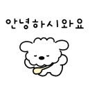 제주선채향광주일곡점 이미지