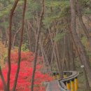 약수목욕탕 이미지