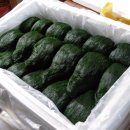 군외중학교 이미지