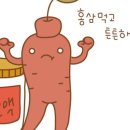 홍삼세상 - 창원시 성산구 용지로 225 | 홍삼세상