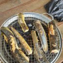 실리곡낚시터 이미지