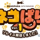 솔레이유 이미지