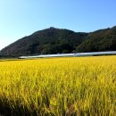 금강마을경로당 이미지