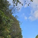 한티가는길 이미지