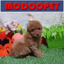 모두와샵 이미지