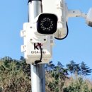 근태농장 이미지