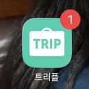 파인 관광농원 | [속초/고성 2박 3일] 아이랑 가볼만한 곳 / 체험 / 맛집 / 휴무일 업데이트