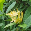 푸른 식물병원 이미지