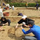 친환경나눔텃밭 이미지