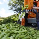 농민유통 이미지