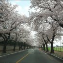 소원이용소 이미지