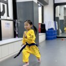 국가대표 한울태권도 이미지