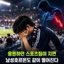 응원하는 스포츠팀이 지면 "남성호르몬" 떨어진다 이미지