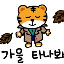 100평쇼핑몰 - 구미시 구미중앙로42길 5-17 | 100평쇼핑몰