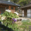 원형공인중개사사무소 이미지