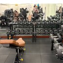한국방역안전센터 | 방이동 헬스장 스틸짐 PT 후기