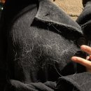 어두육미 이미지