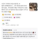 이브로우스튜디오