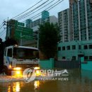 진도종합가구 이미지