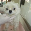 궐동지구대 이미지