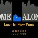 홍대개미 이미지