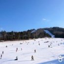 용평리조트 이미지