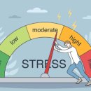 서현숲 가정의학과의원 이미지