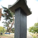 주천대 Daum카페